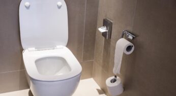 Odiavo il tartaro sul fondo del wc, poi ho aperto il frigorifero e ho trovato il rimedio naturale ed economico per rimuovere lo sporco
